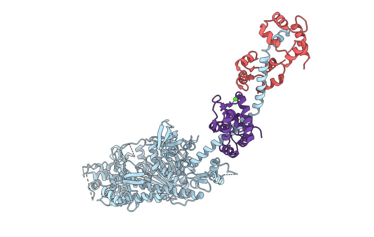 1DFK image