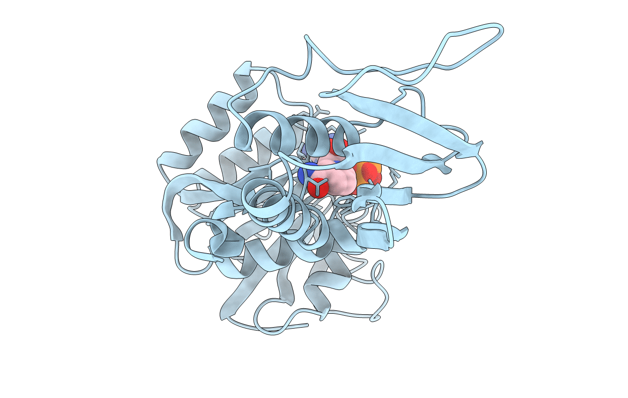 1DIH image