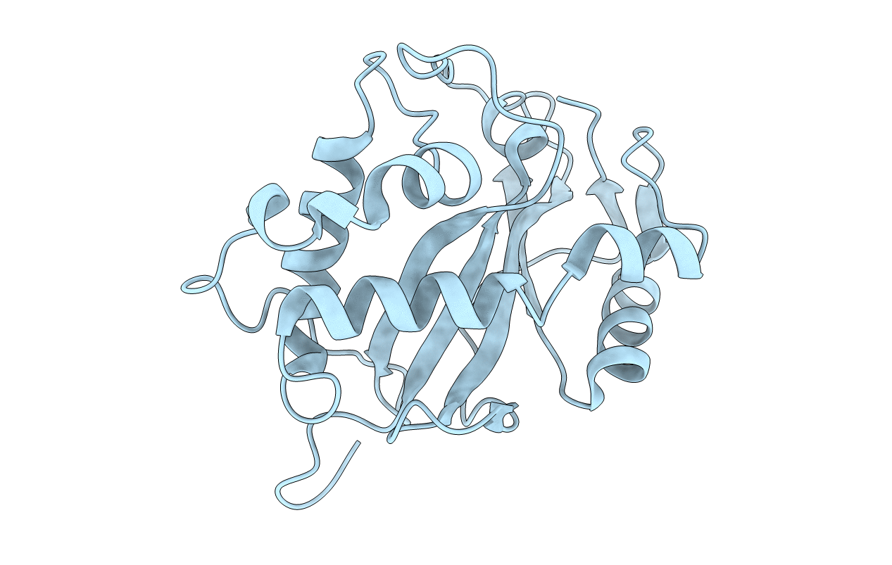1DIX image