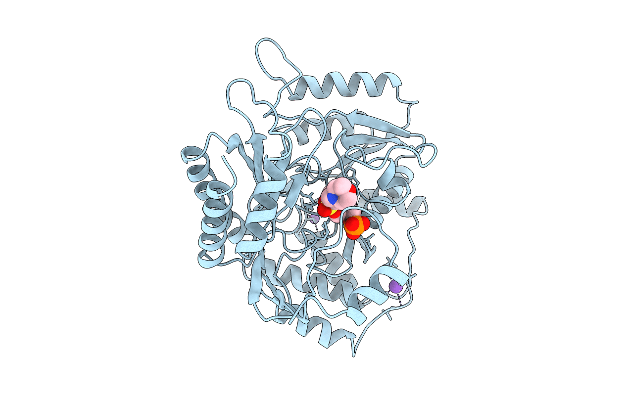 1DKA image