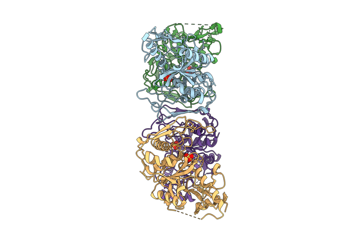 1DKI image