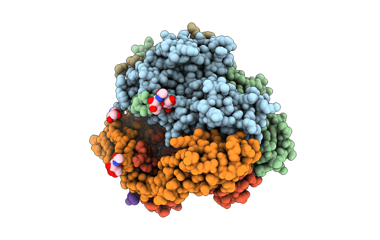 1DLH image