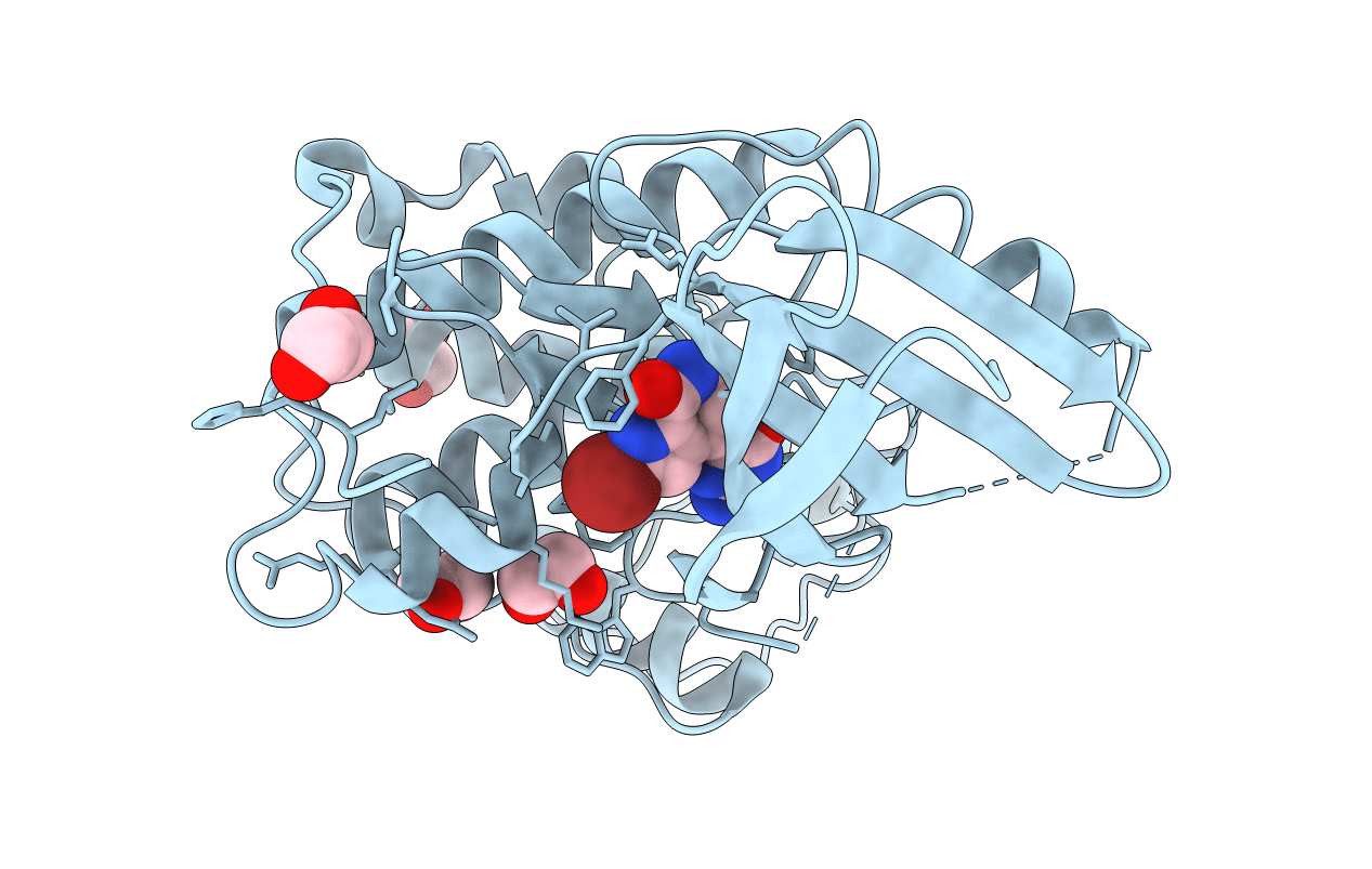 1DM2 image