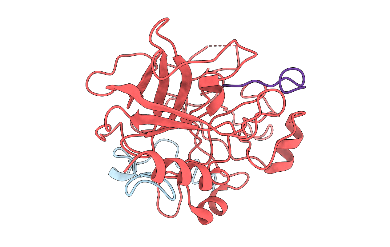 1DM4 image