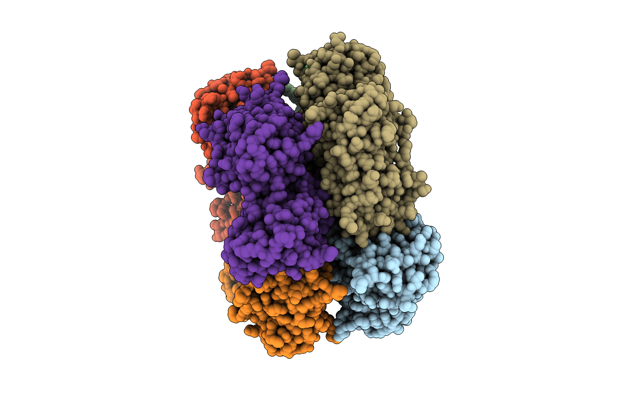 1DM5 image