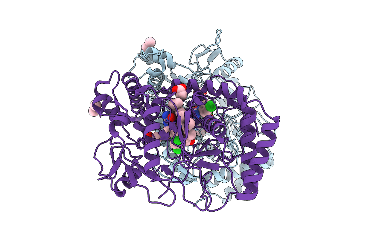 1DM6 image