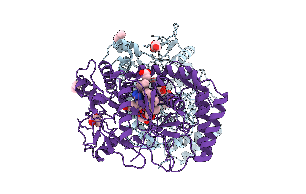 1DM7 image