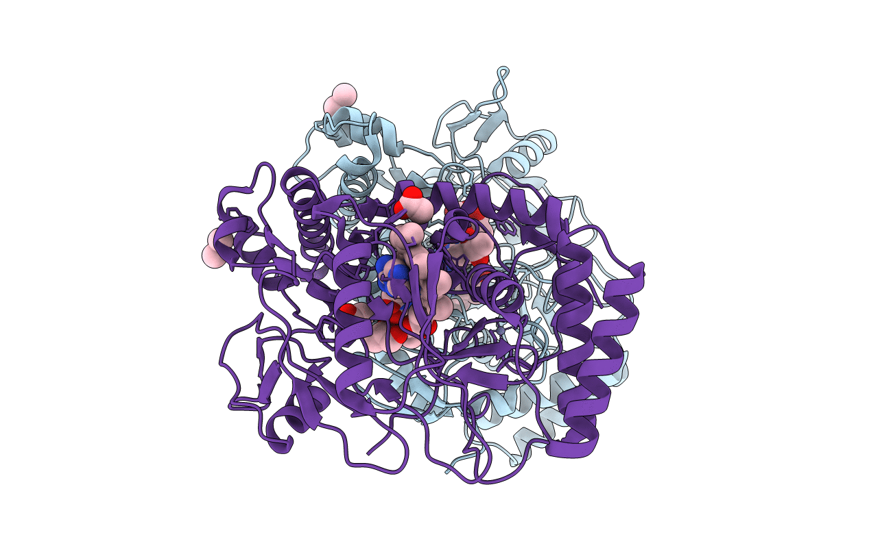 1DM8 image