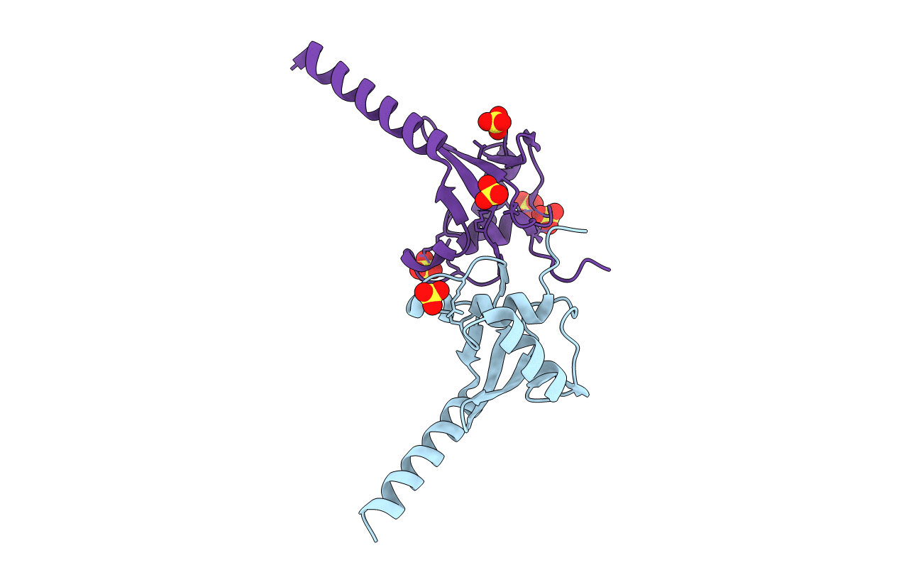 1DM9 image