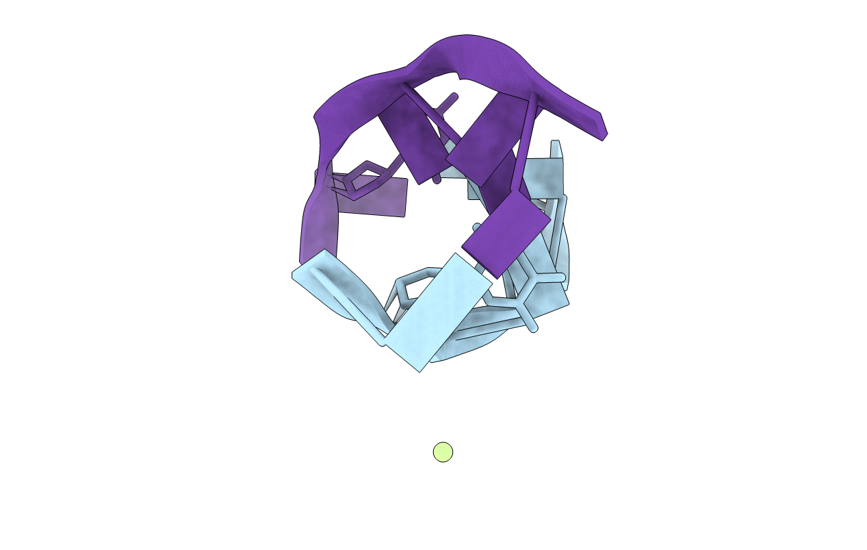 1DNF image