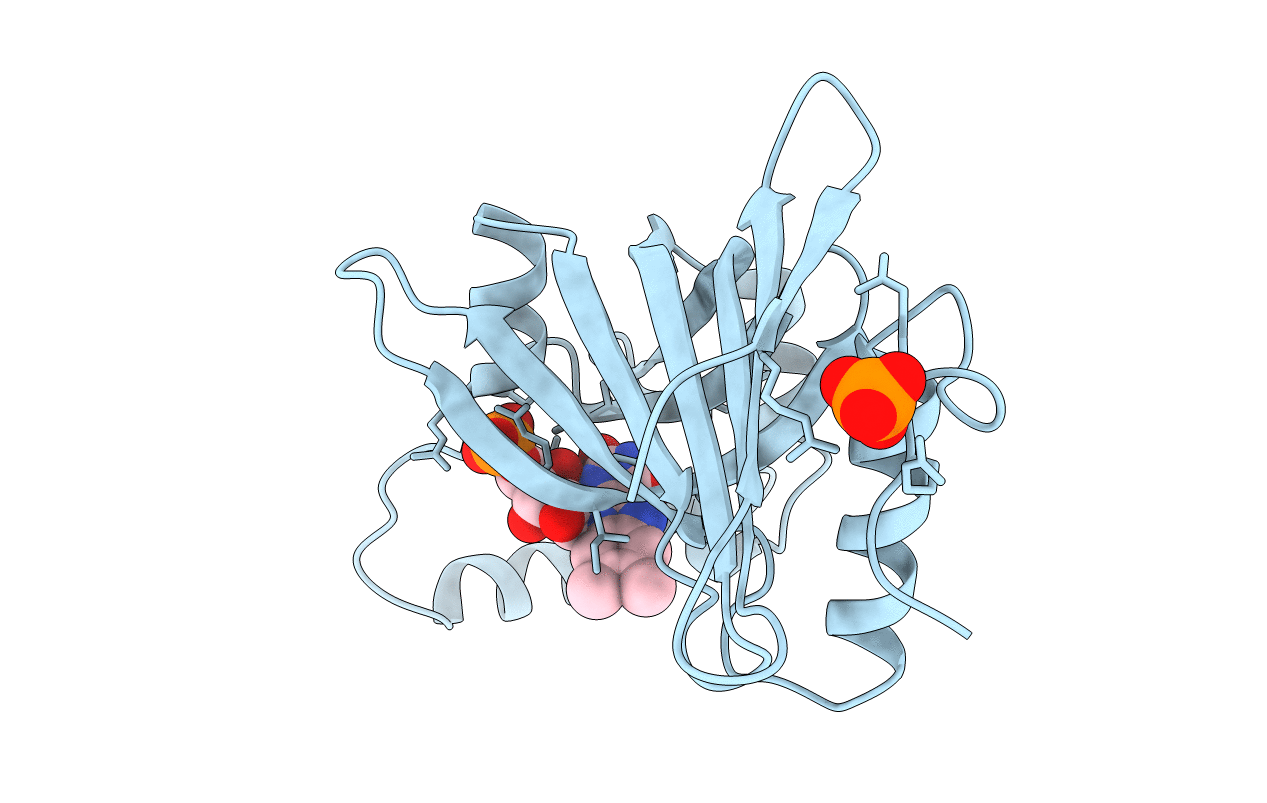 1DNL image