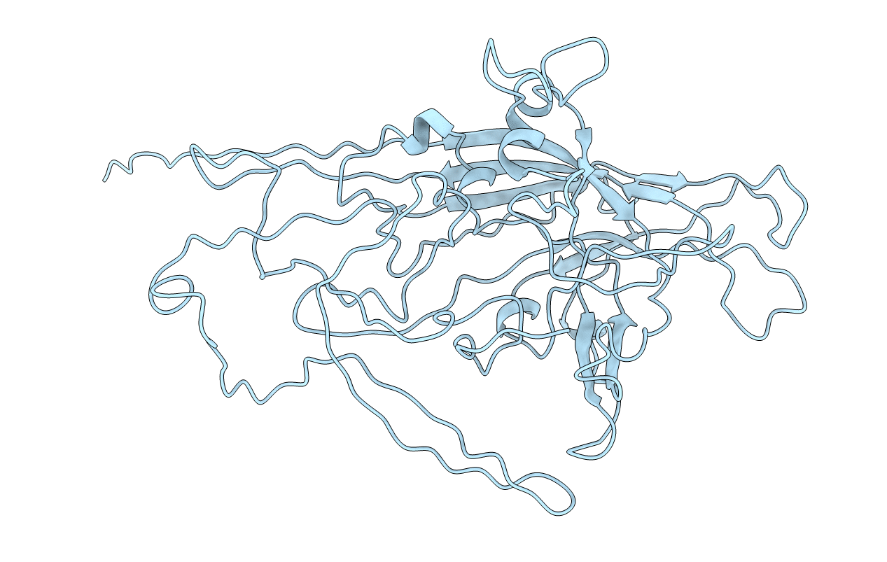 1dnv image