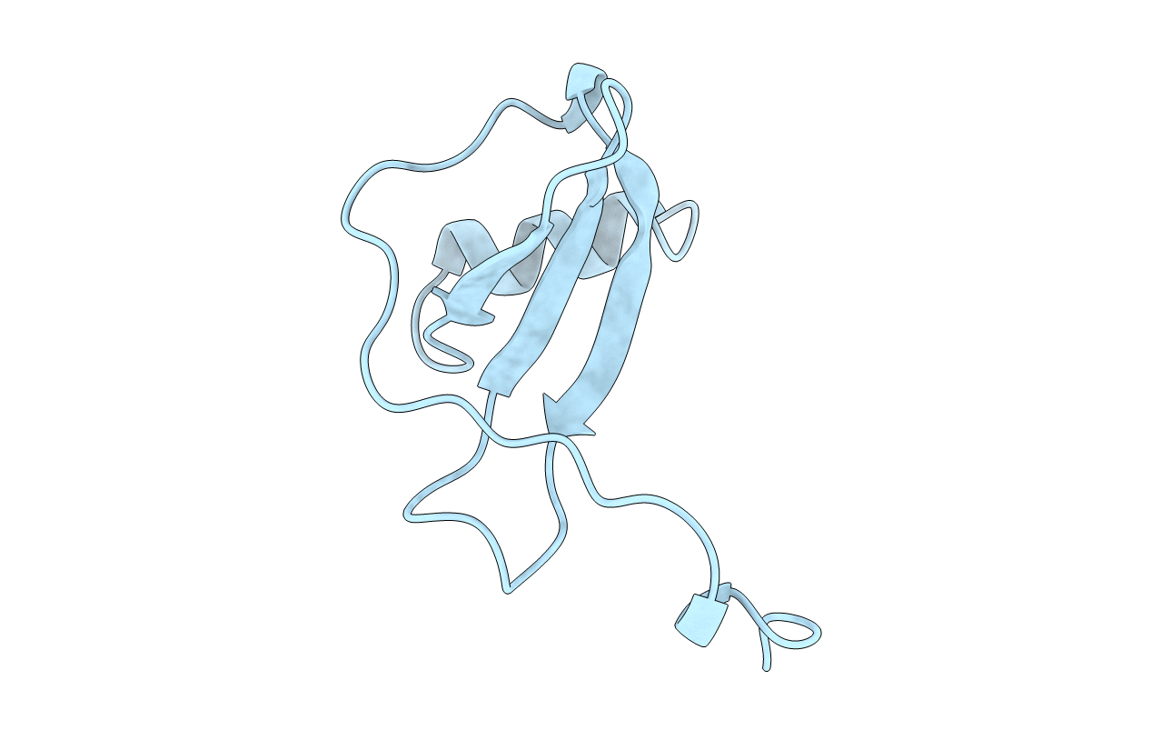 1DOL image