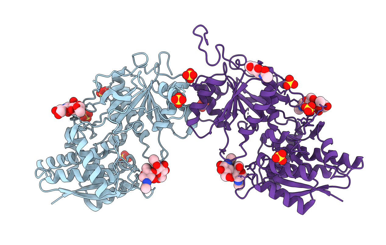 1DP4 image