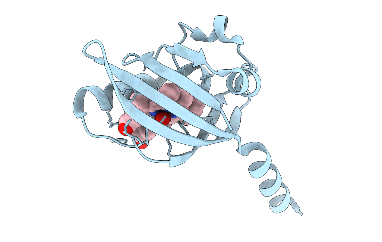 1DP6 image