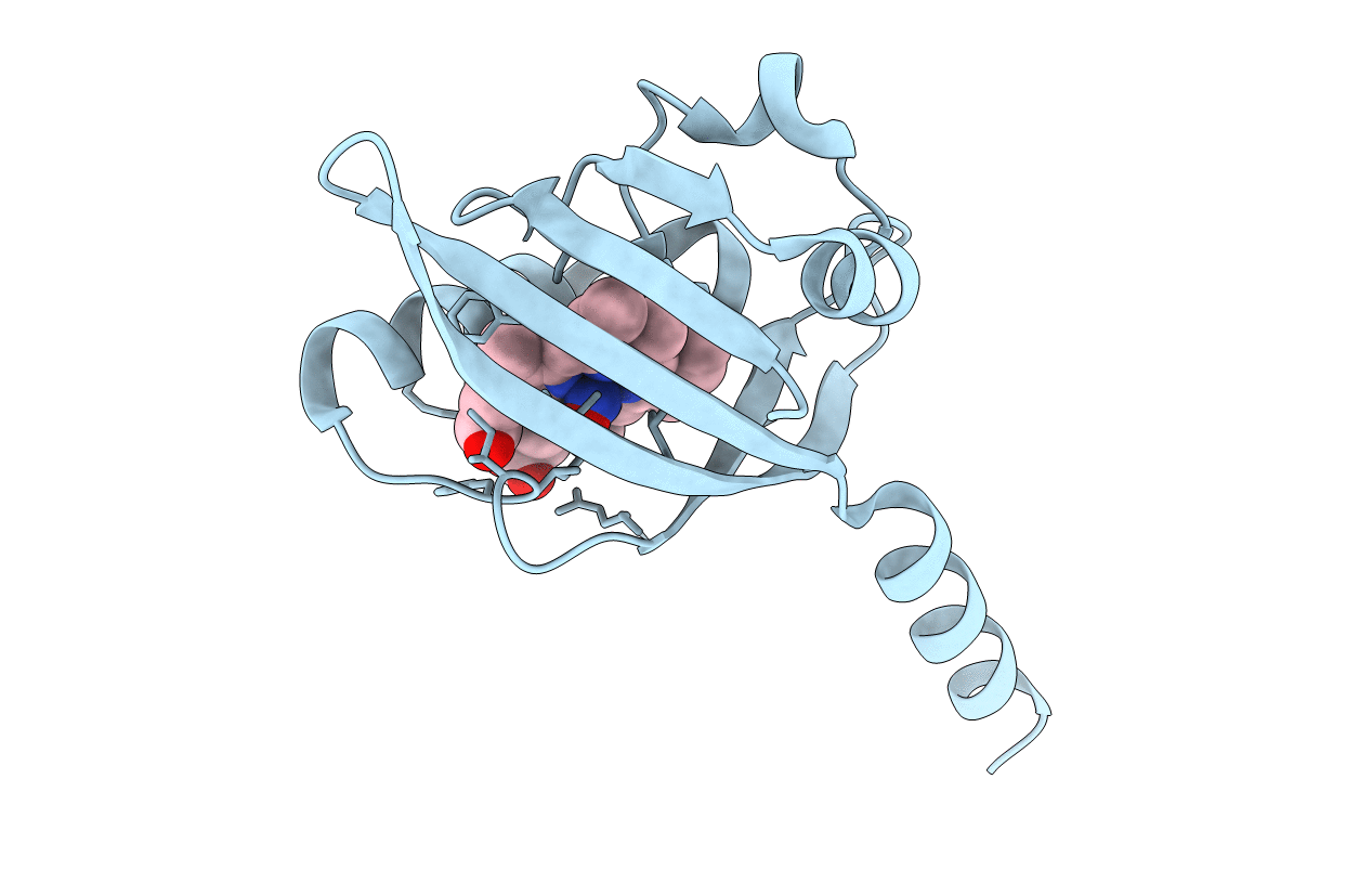 1DP8 image