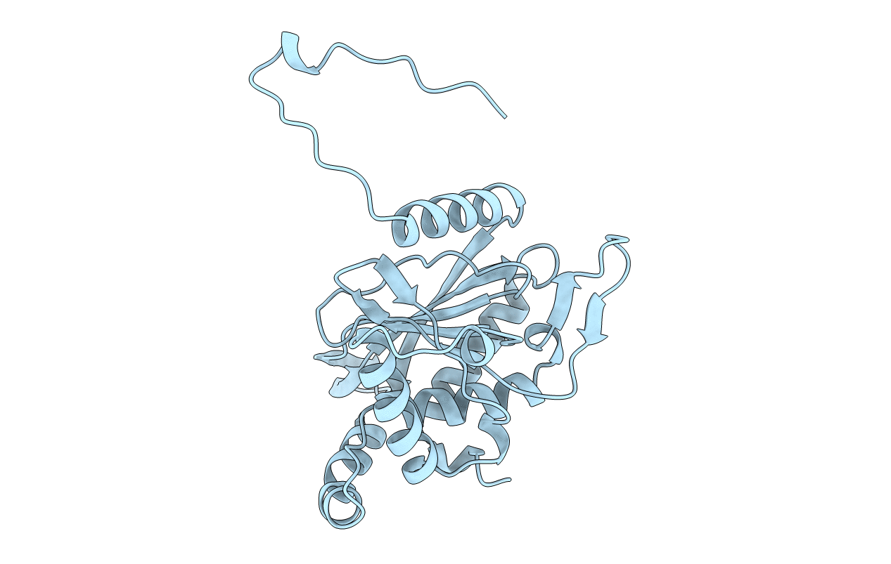 1DPD image