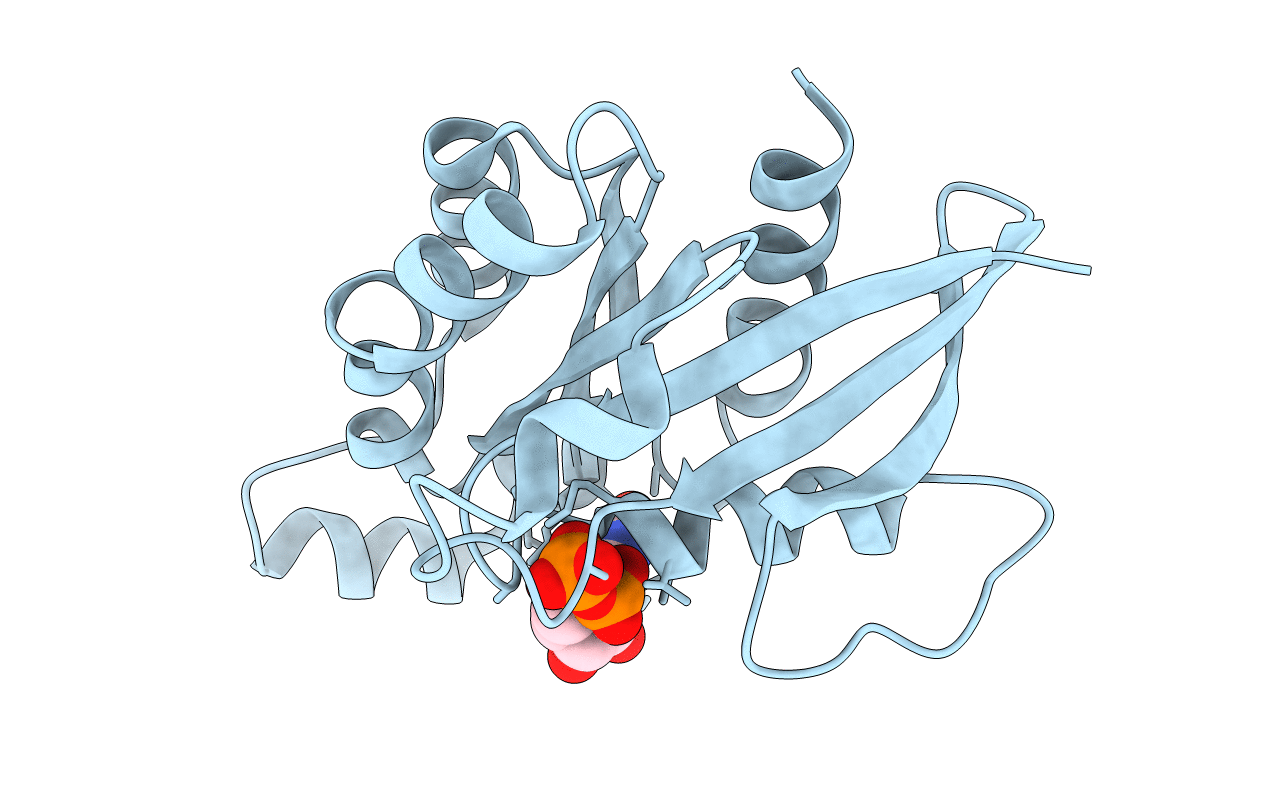 1DPF image