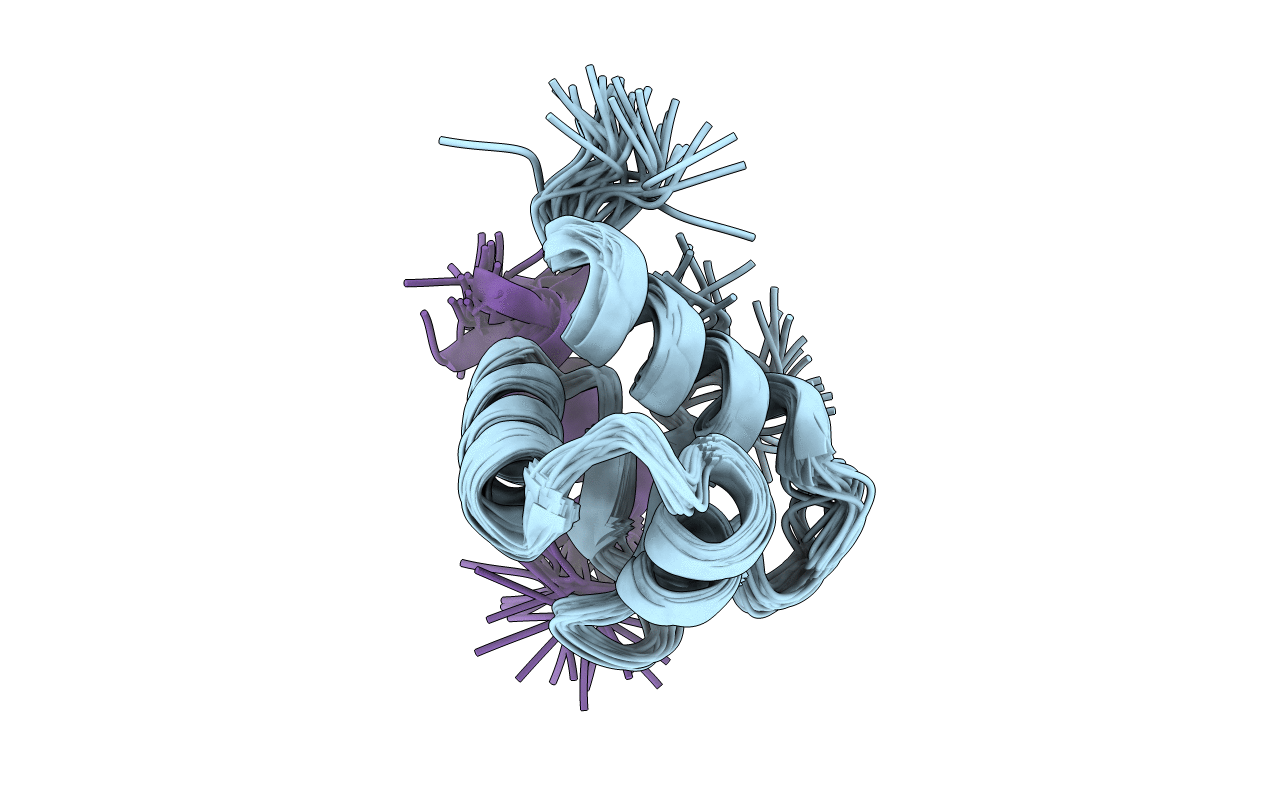1DPU image