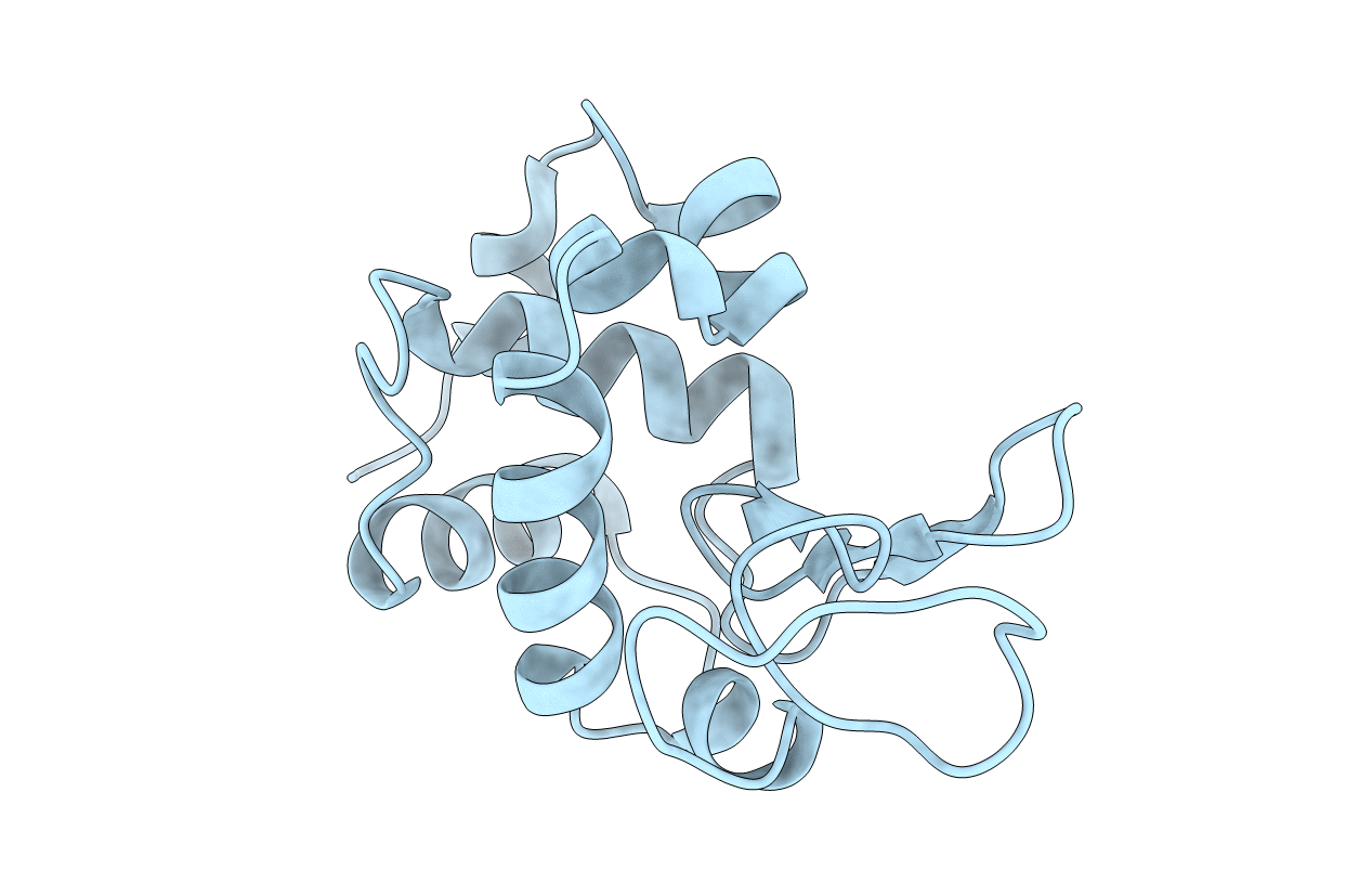 1DPX image