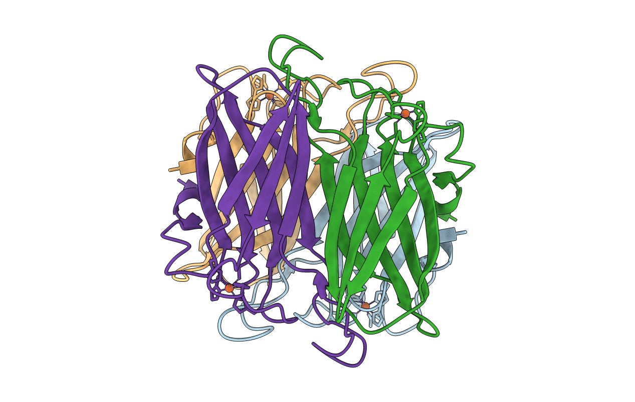 1DQI image