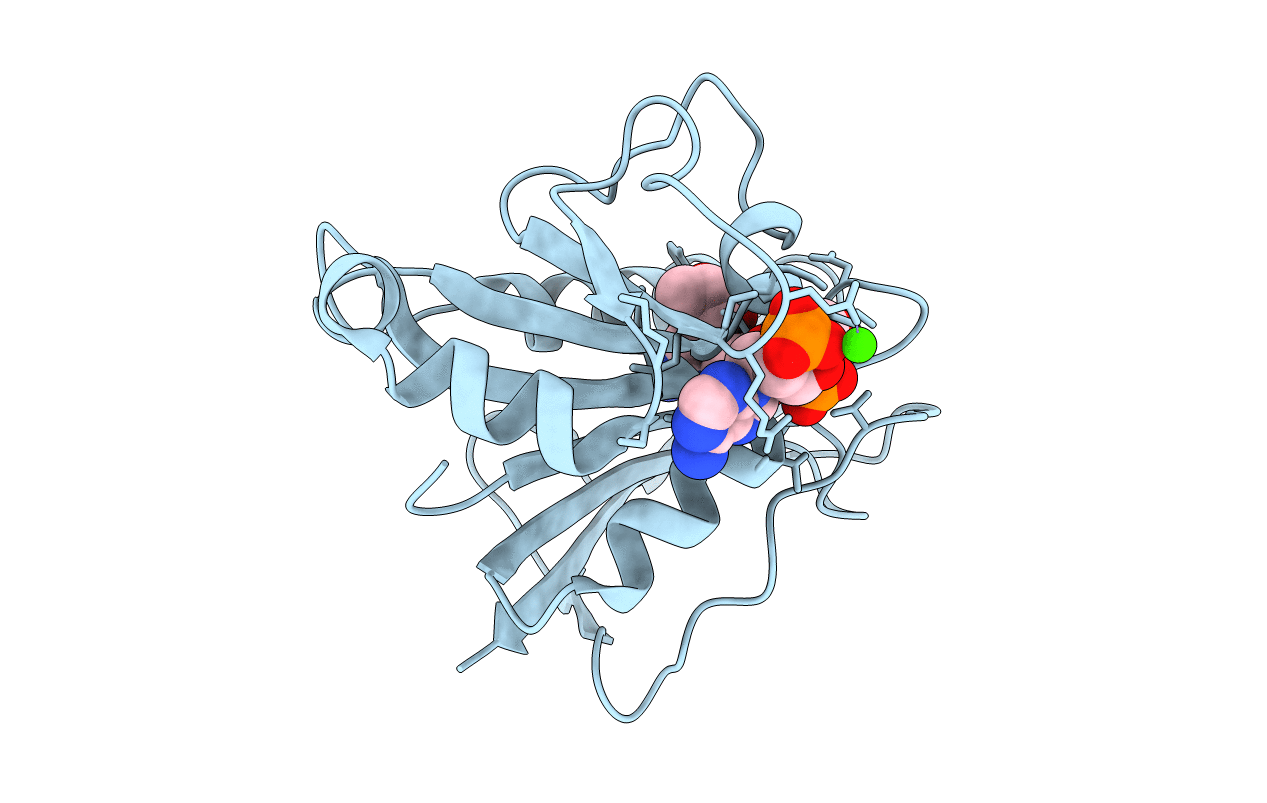 1DR1 image