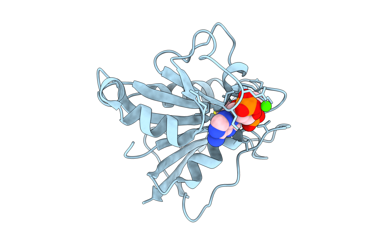 1DR2 image
