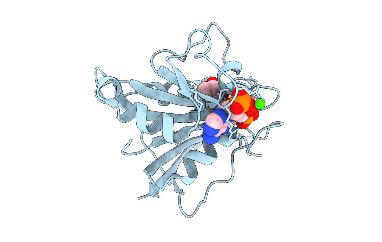 1DR3 image