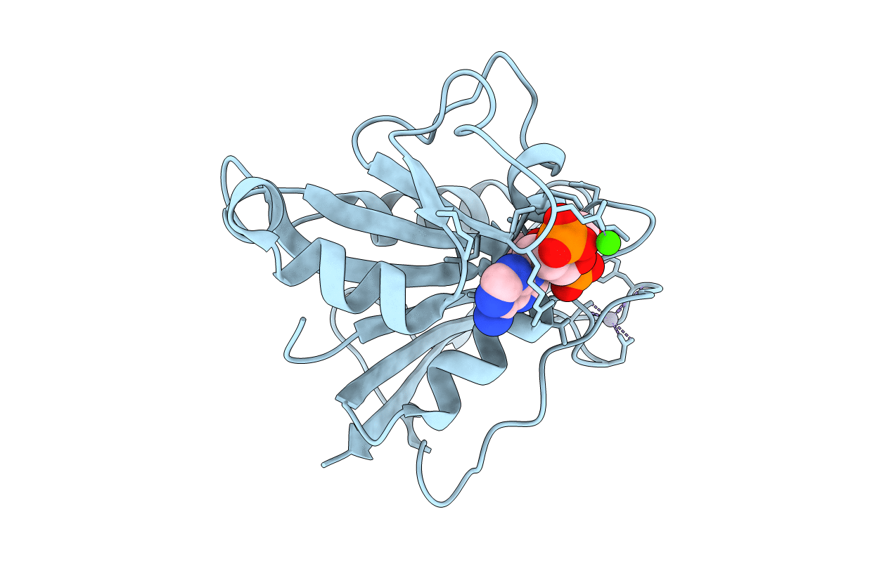 1DR5 image