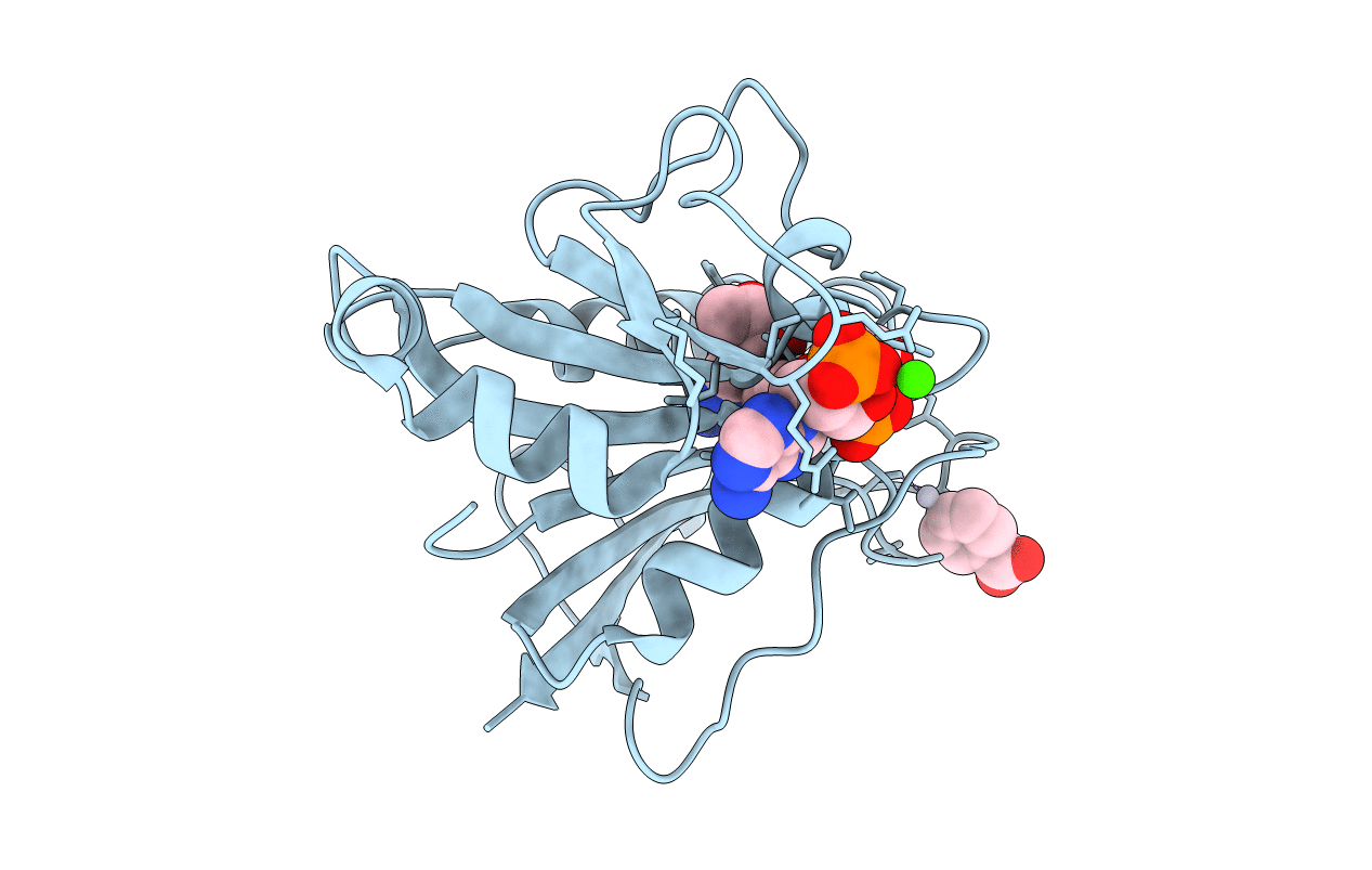1DR6 image