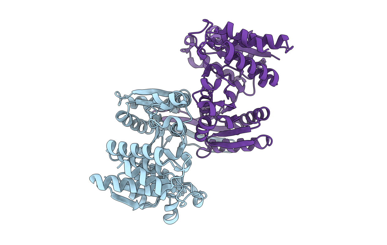 1DR8 image