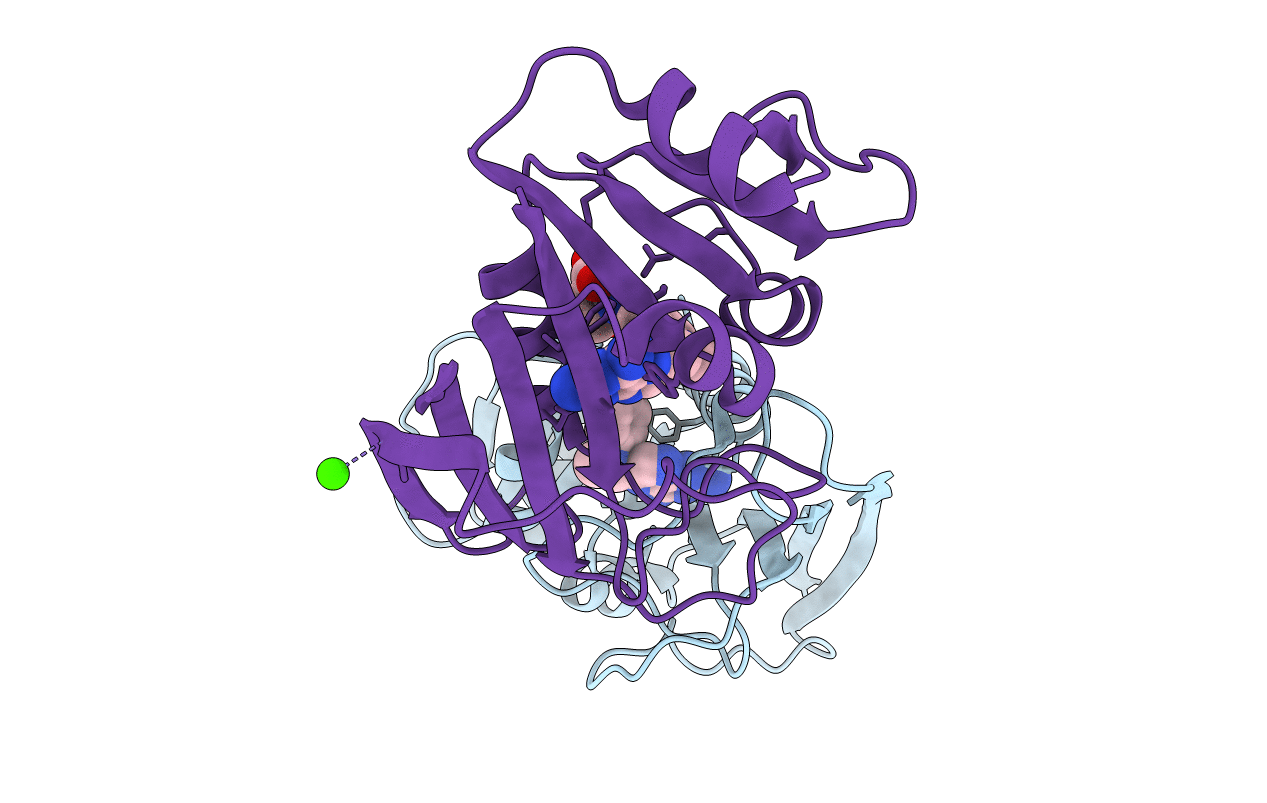 1DRA image
