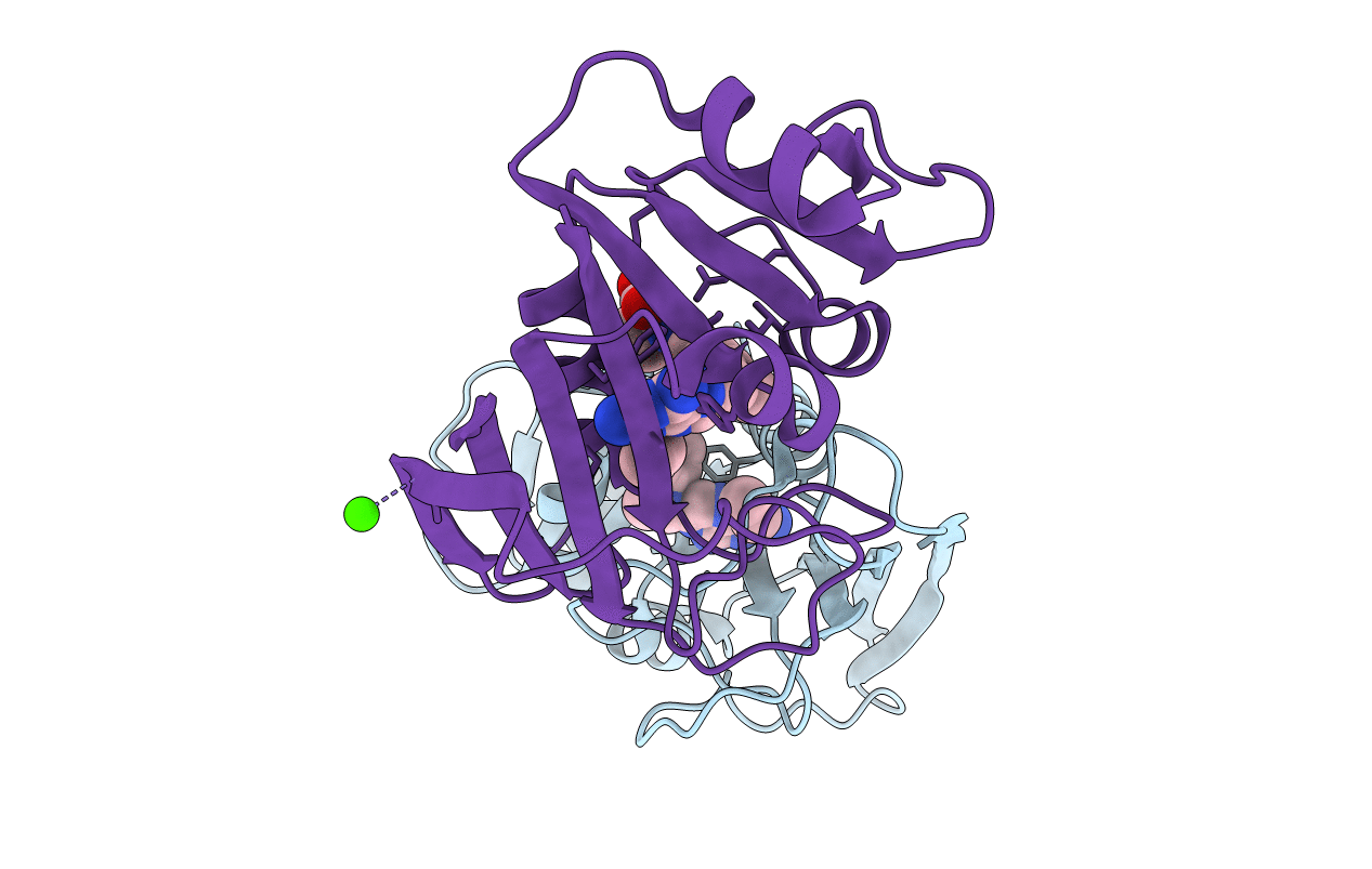 1DRB image