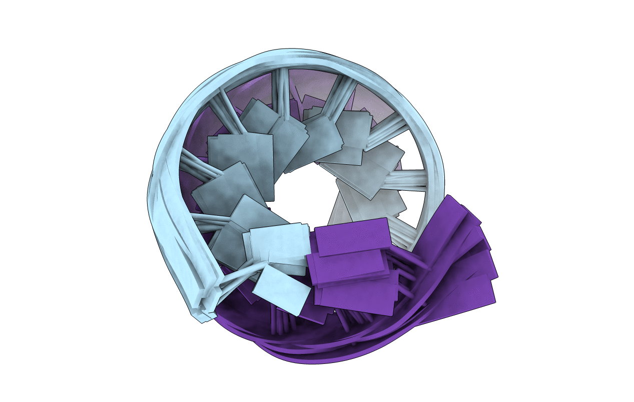 1DRR image