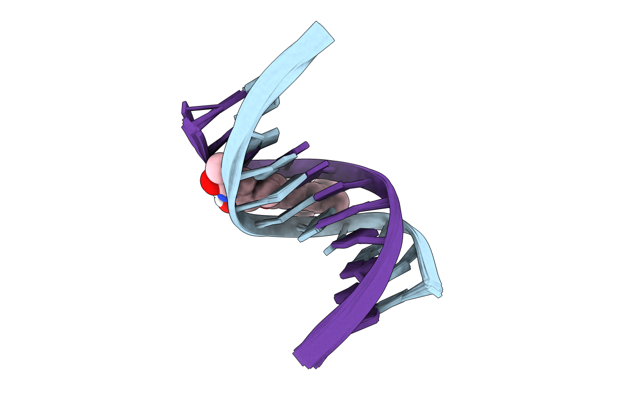 1DSM image