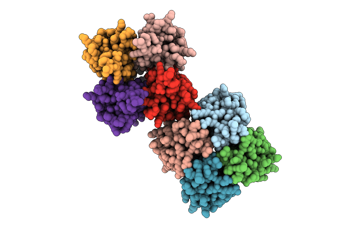 1DSX image