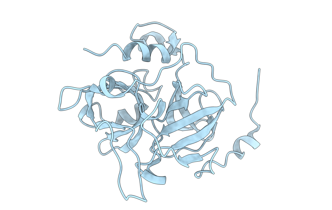 1DT2 image
