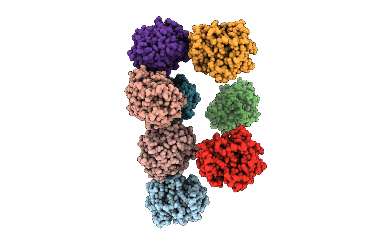 1DT5 image
