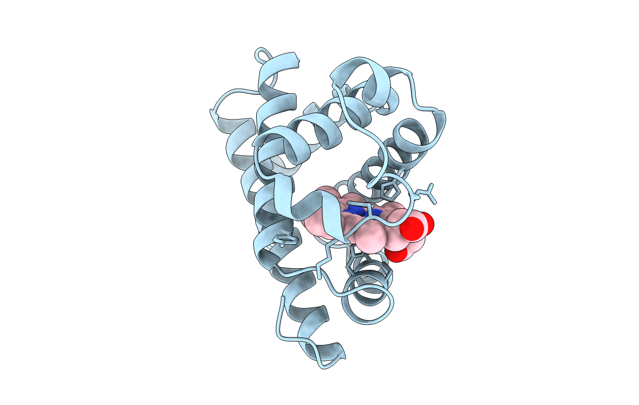 1DTI image