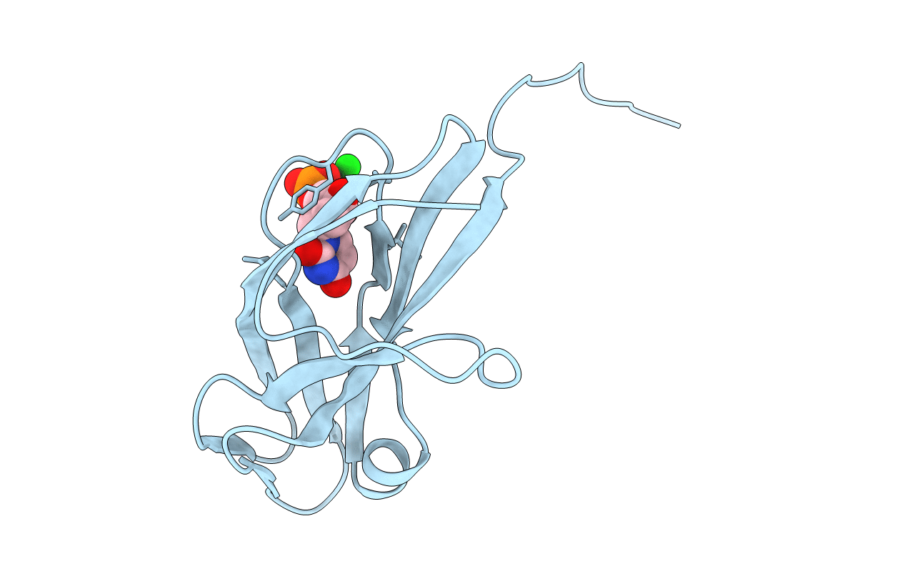 1DUC image