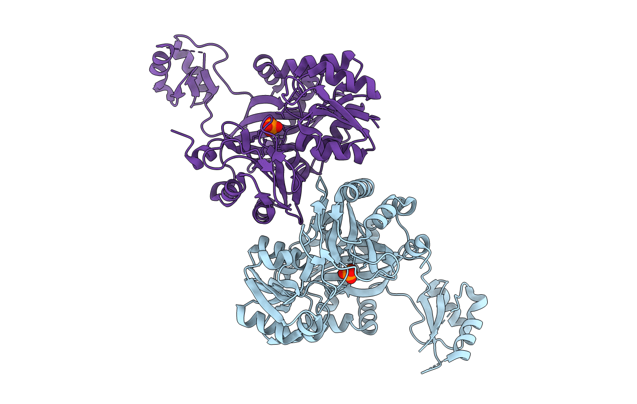 1DV1 image