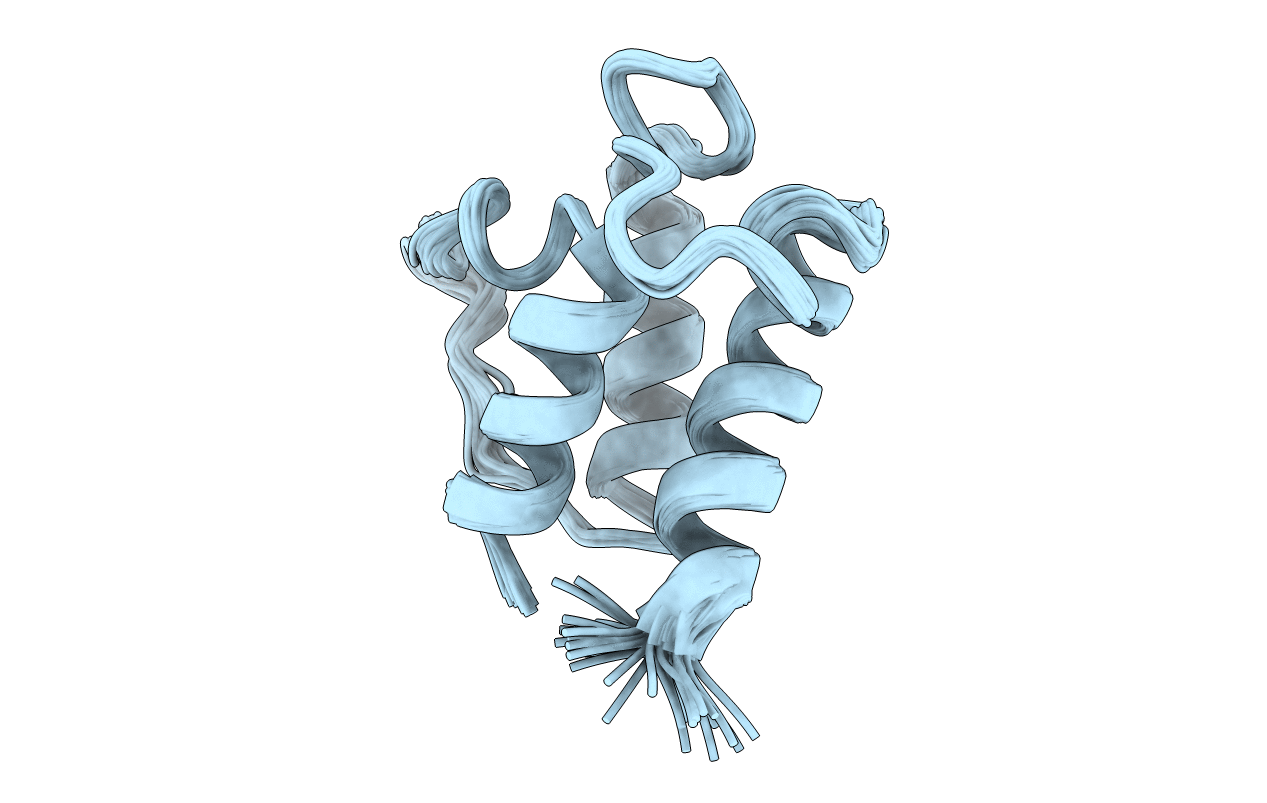 1DV5 image