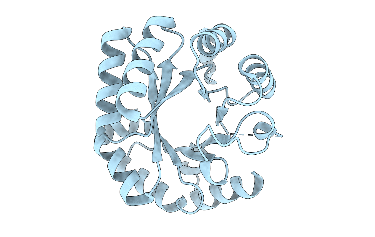 1DV7 image