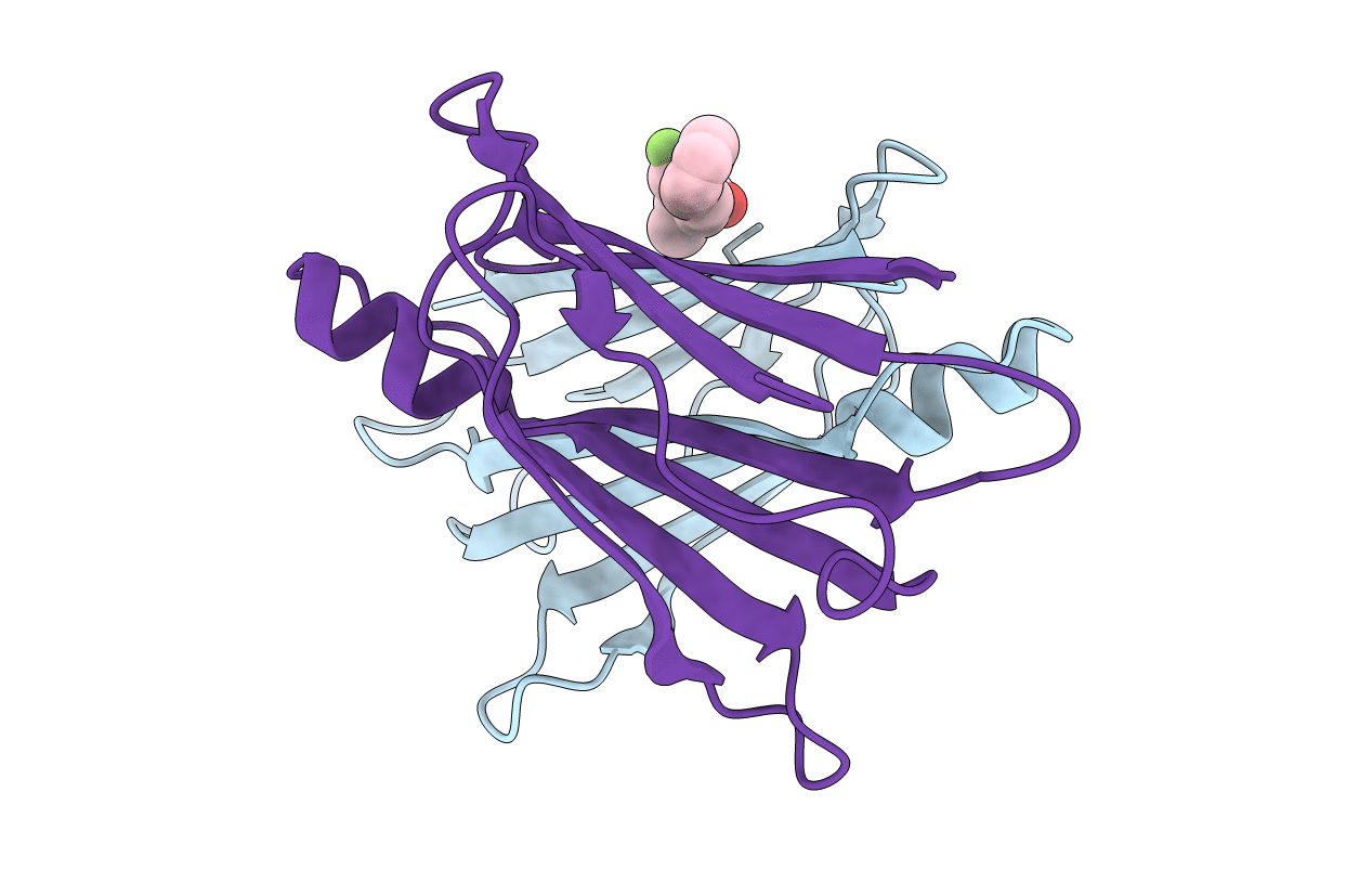 1DVT image