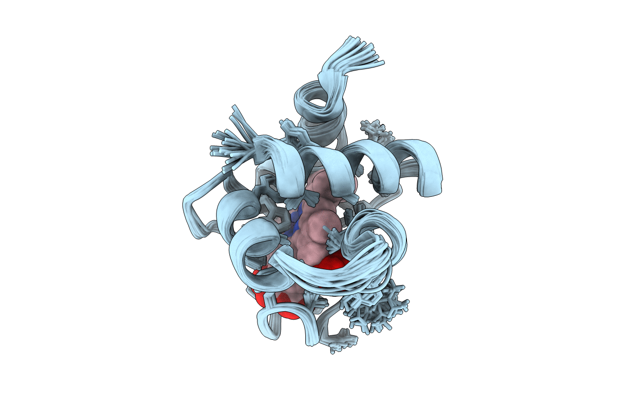 1DVV image
