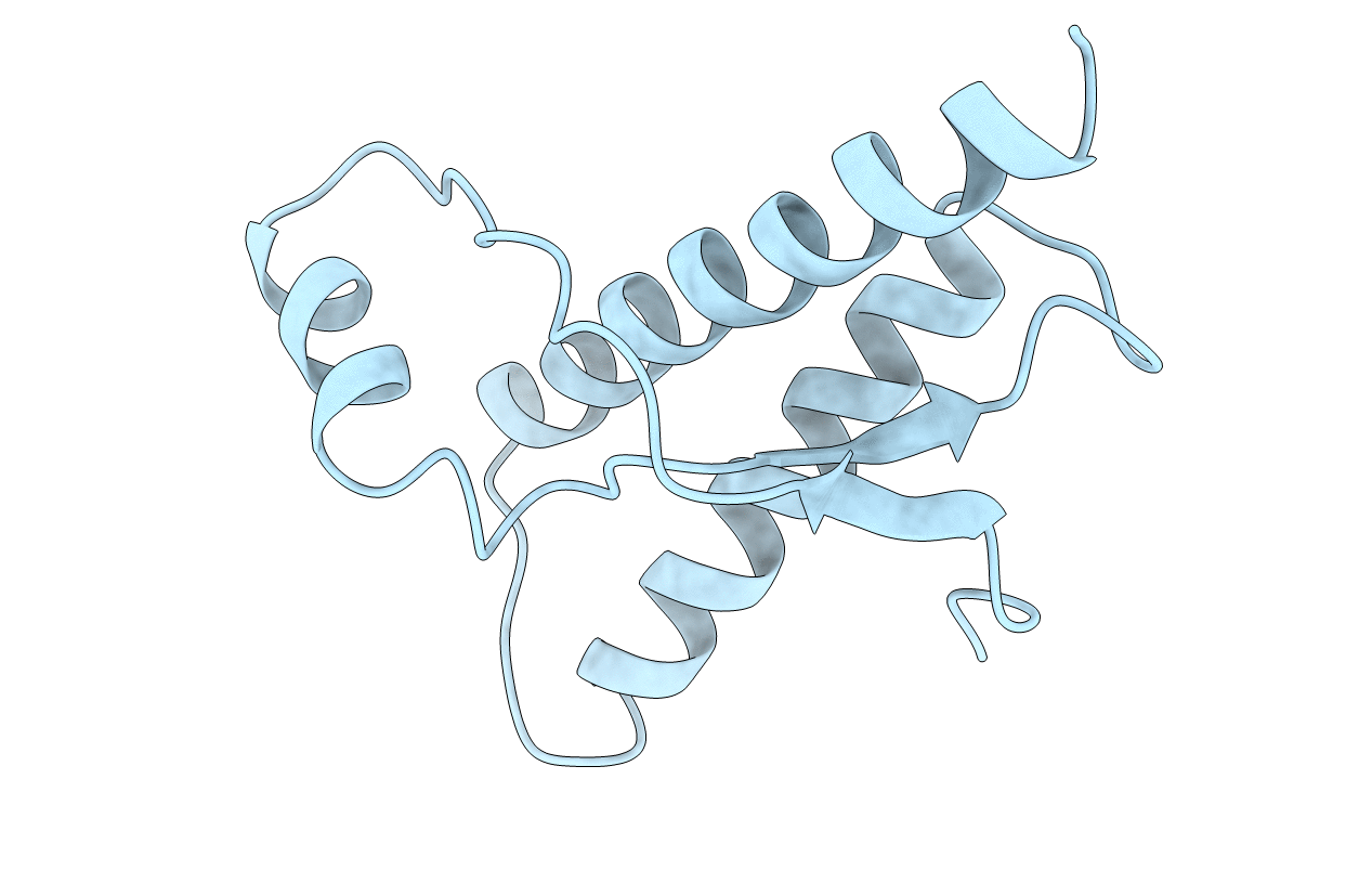 1DX0 image