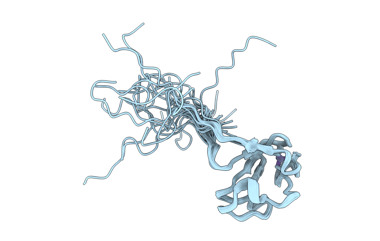 1DX8 image