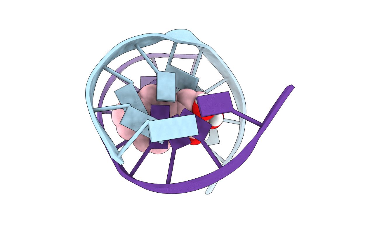 1DXA image