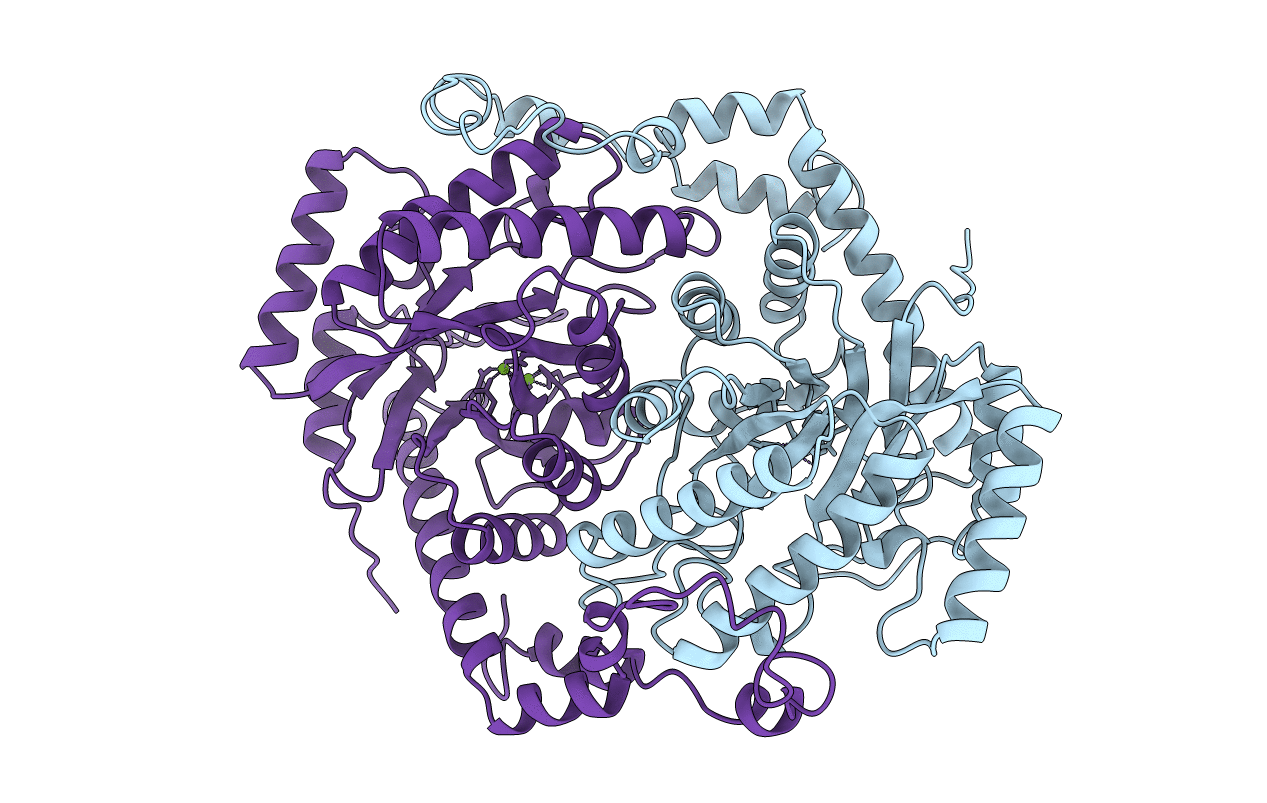 1DXI image