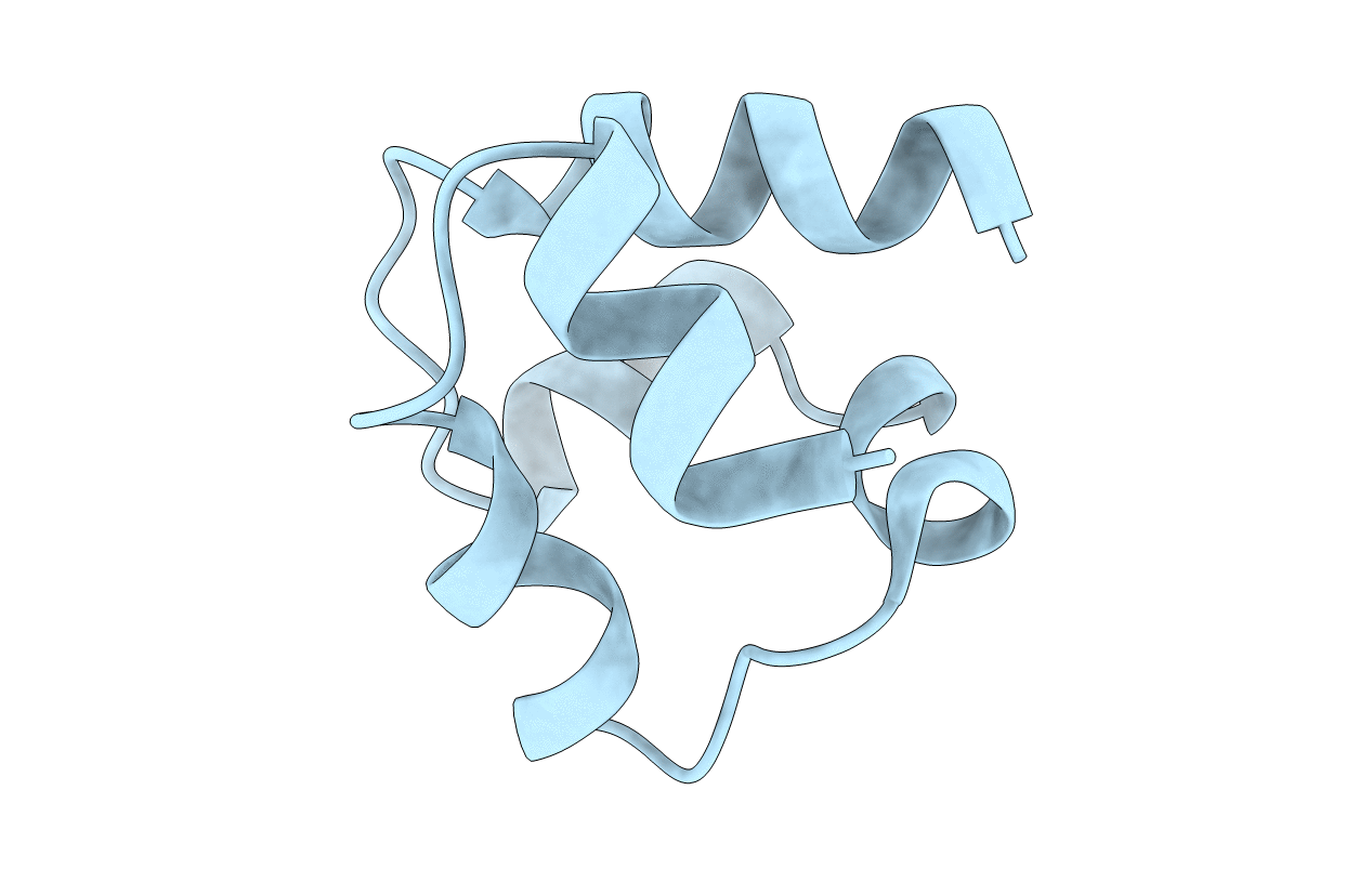 1DXS image